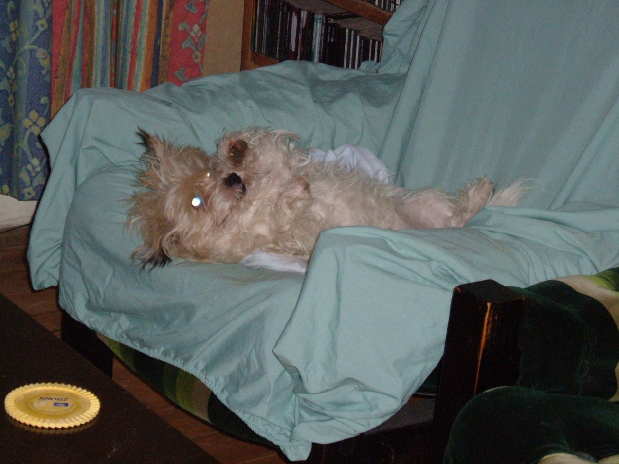 glowing eyes vika august2010 059