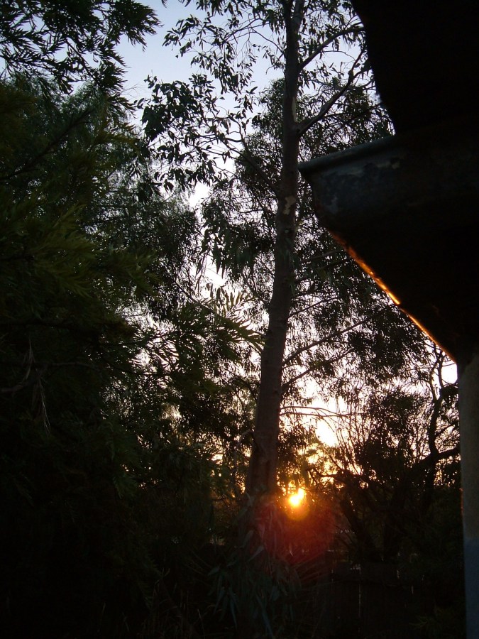 a photo taken years ago, the reflection on the gutter was a fluke