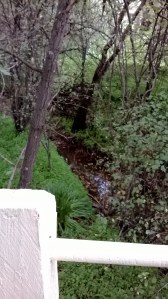 water under footbridge