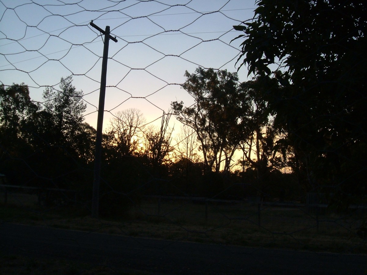 Looking through wire netting