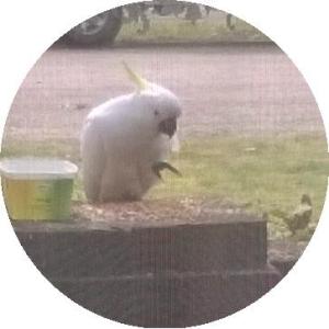 From an earlier visit