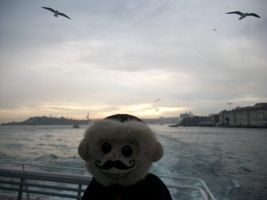 istanbul, bogaz tur, bosphorus cruise