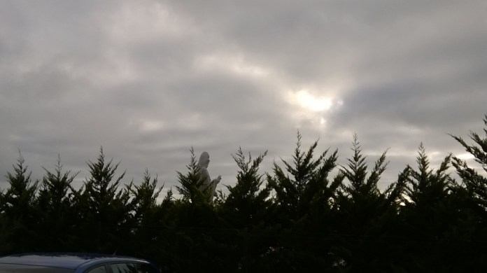 WP_20150511_15_26_13_Pro