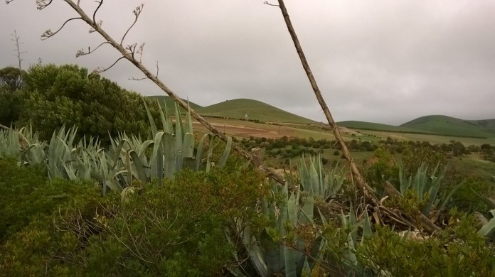 WP_20150511_15_38_26_Pro