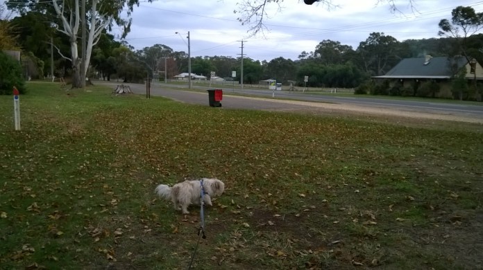 wp 20150527 09 28 07 pro