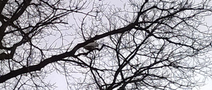 the one who stayed behind