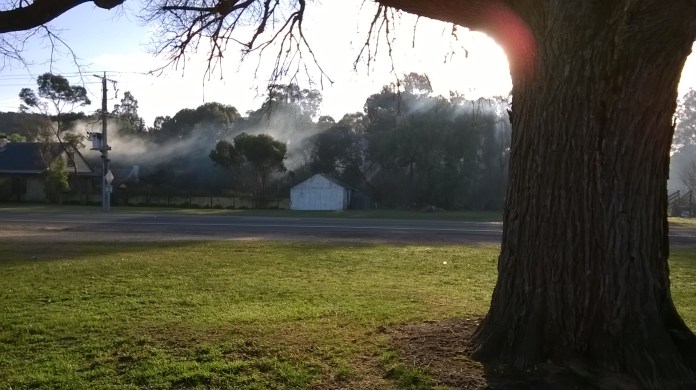 We all have wood heaters around here, and these mornings the smoke often hugs the ground. 
