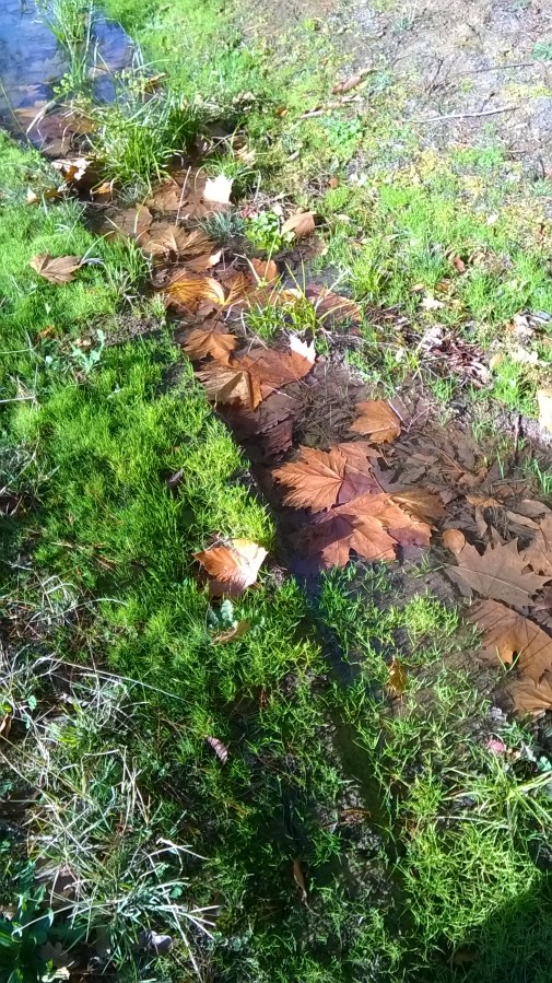 after adelaide phone 023