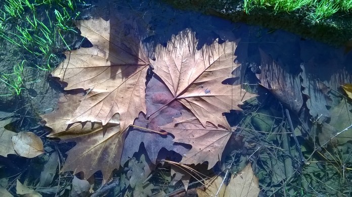 after adelaide phone 024