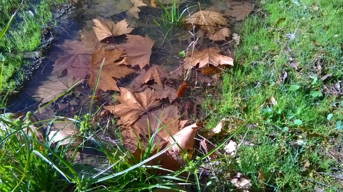 after adelaide phone 025