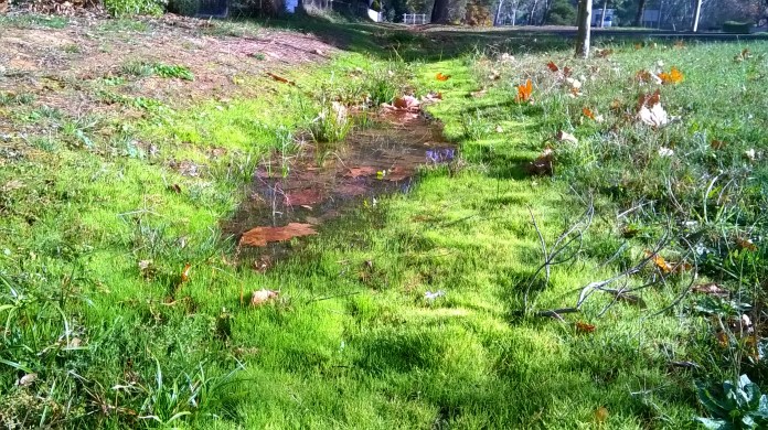 after adelaide phone 026