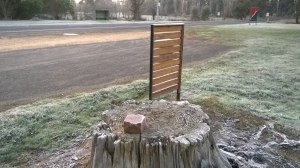 frosty morn, Sunday,  21 June 15, 7.47AM