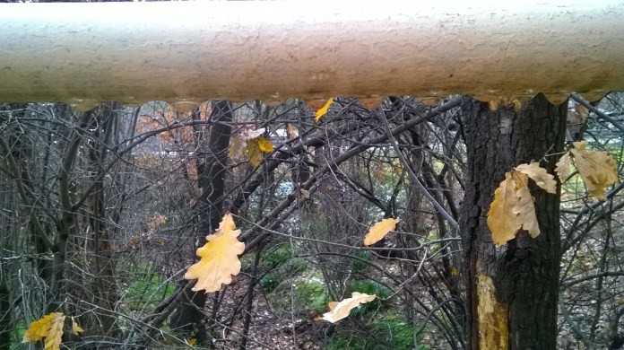 wp 20150712 10 20 18 pro