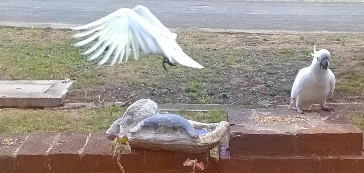 ... have it your way, that pile looks better anyway ...