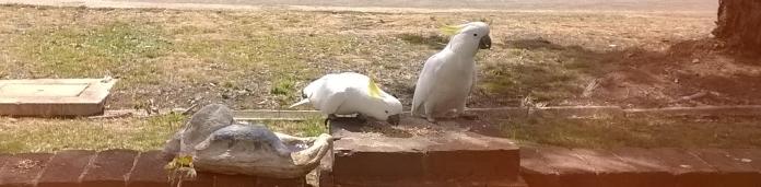 Oh this is nice, move over ...