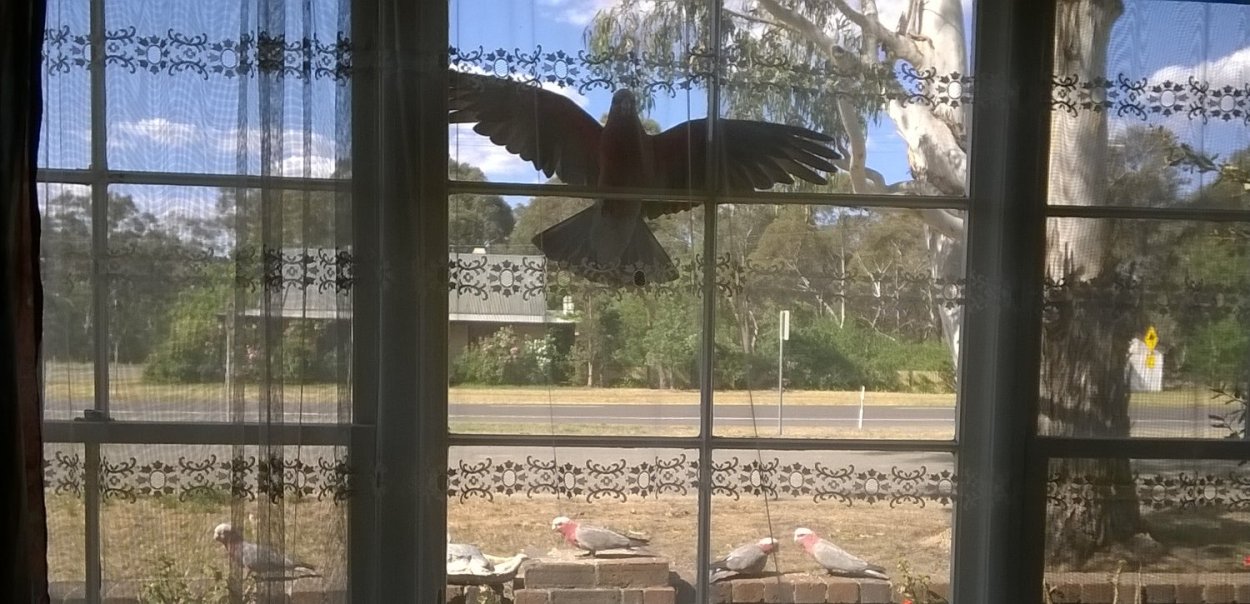 It must be able to see a reflection. 