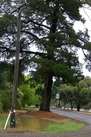 That old wooden power pole has been reinforced with concrete, but it's looking a bit wonky to me!