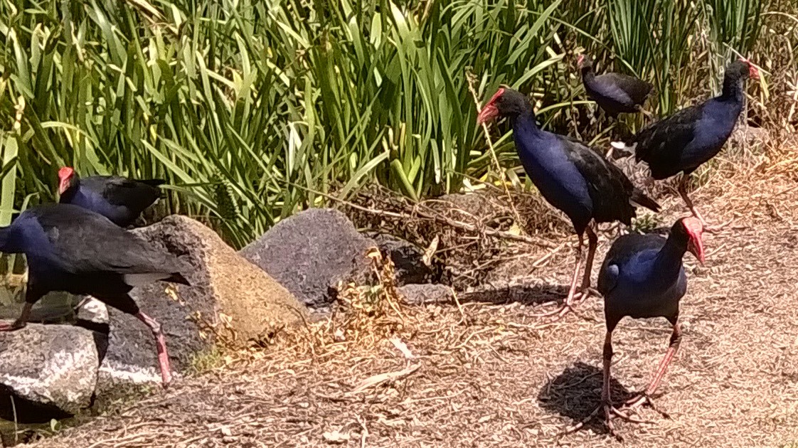 wp 20160103 15 15 36 pro