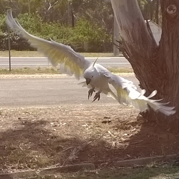 instagramcapture a4548a3c cf67 4d02 9617 62d9168a667e