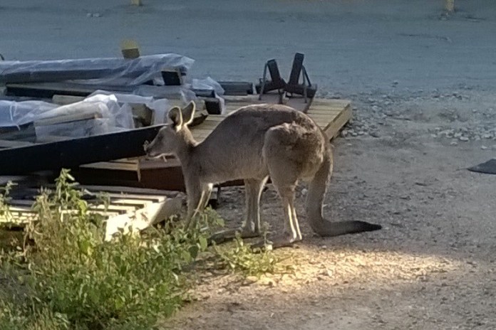 wp 20160302 18 24 37 pro