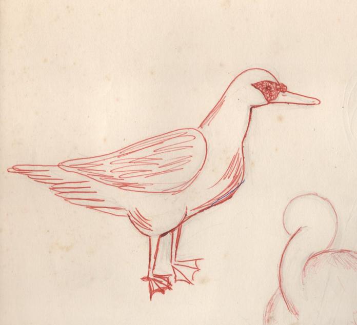 sketch of duck