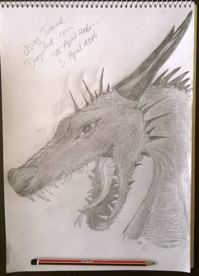 dragon head drawing