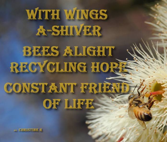 haiku using challenge words: friend & shiver