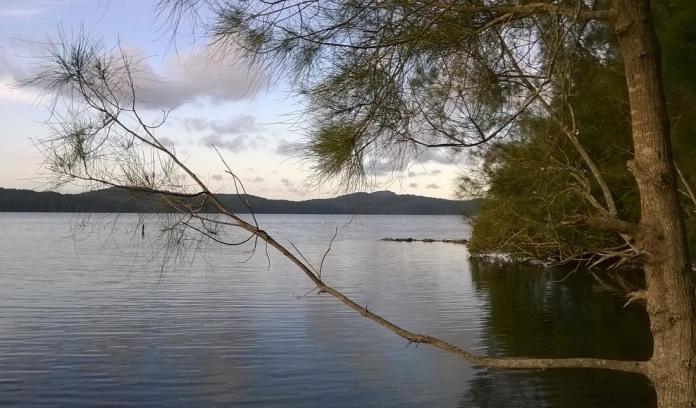Lake, Laurieton, NSW
