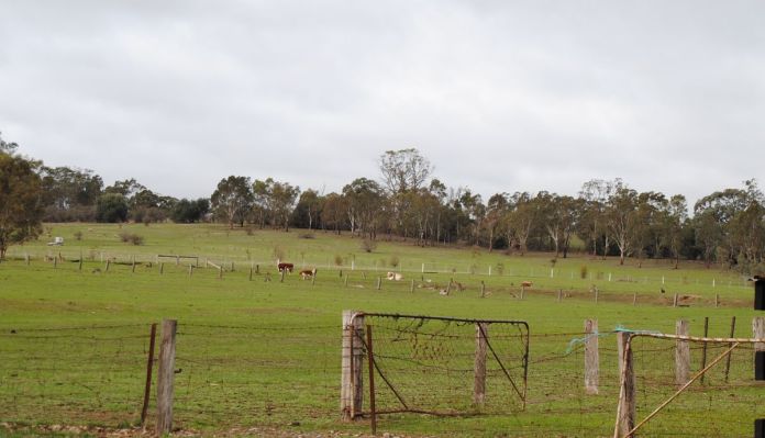 scenery12may2016nik2