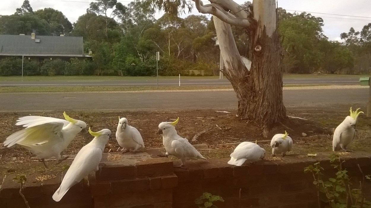 wp 20160501 14 34 53 pro