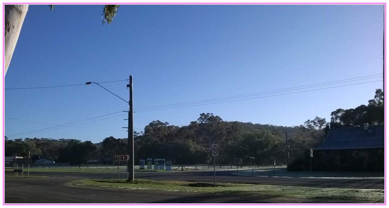 frosty morning scene