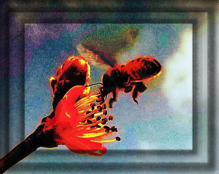 Mequalizedspringbees 167