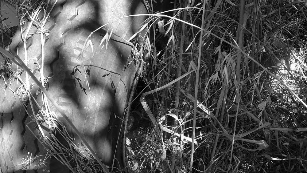 grayscaleWP_20170204_15_42_14_Pro