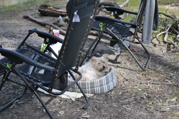 campingchairsvika.JPG