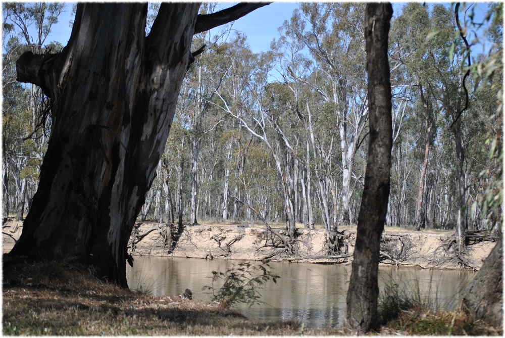 nrbarhammillbend