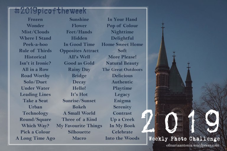 Maria's Weekly Pic Challenge list