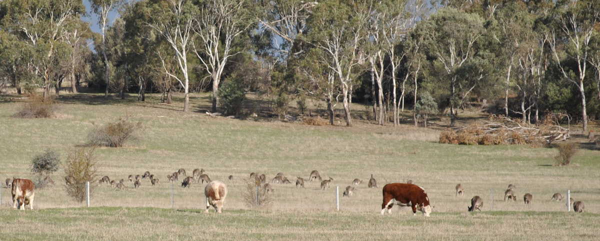 2019 1 april may nikon 020