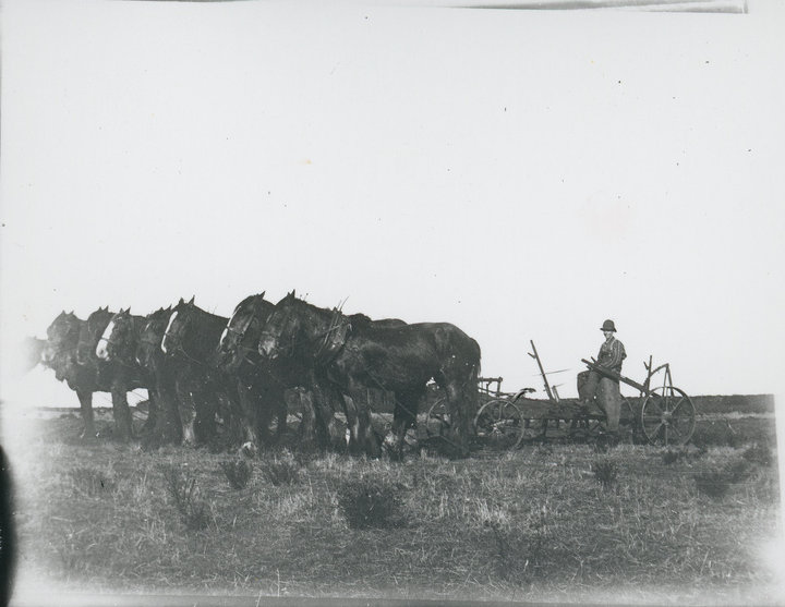 B-20498_SLV_plough_team