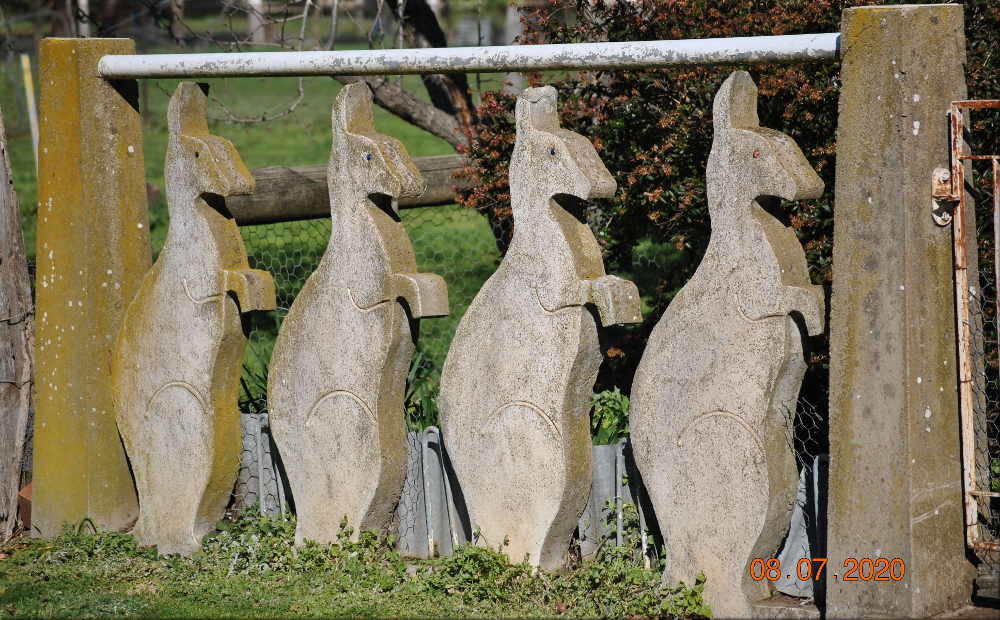kangaroo_fence